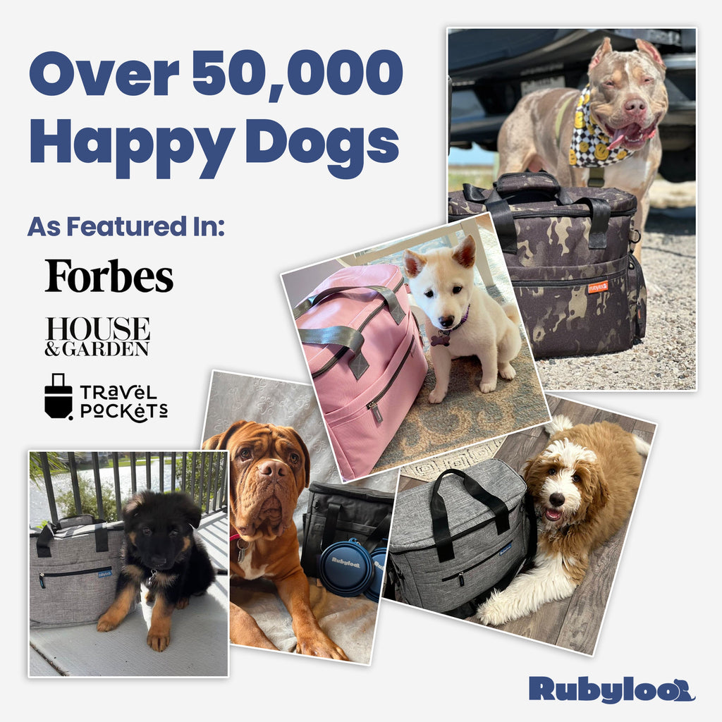 The Original Doggy Bag™ - Dog Travel Bag