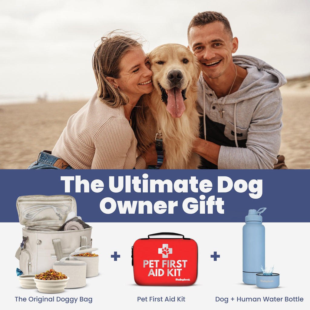 The Original Doggy Bag™ - Dog Travel Bag