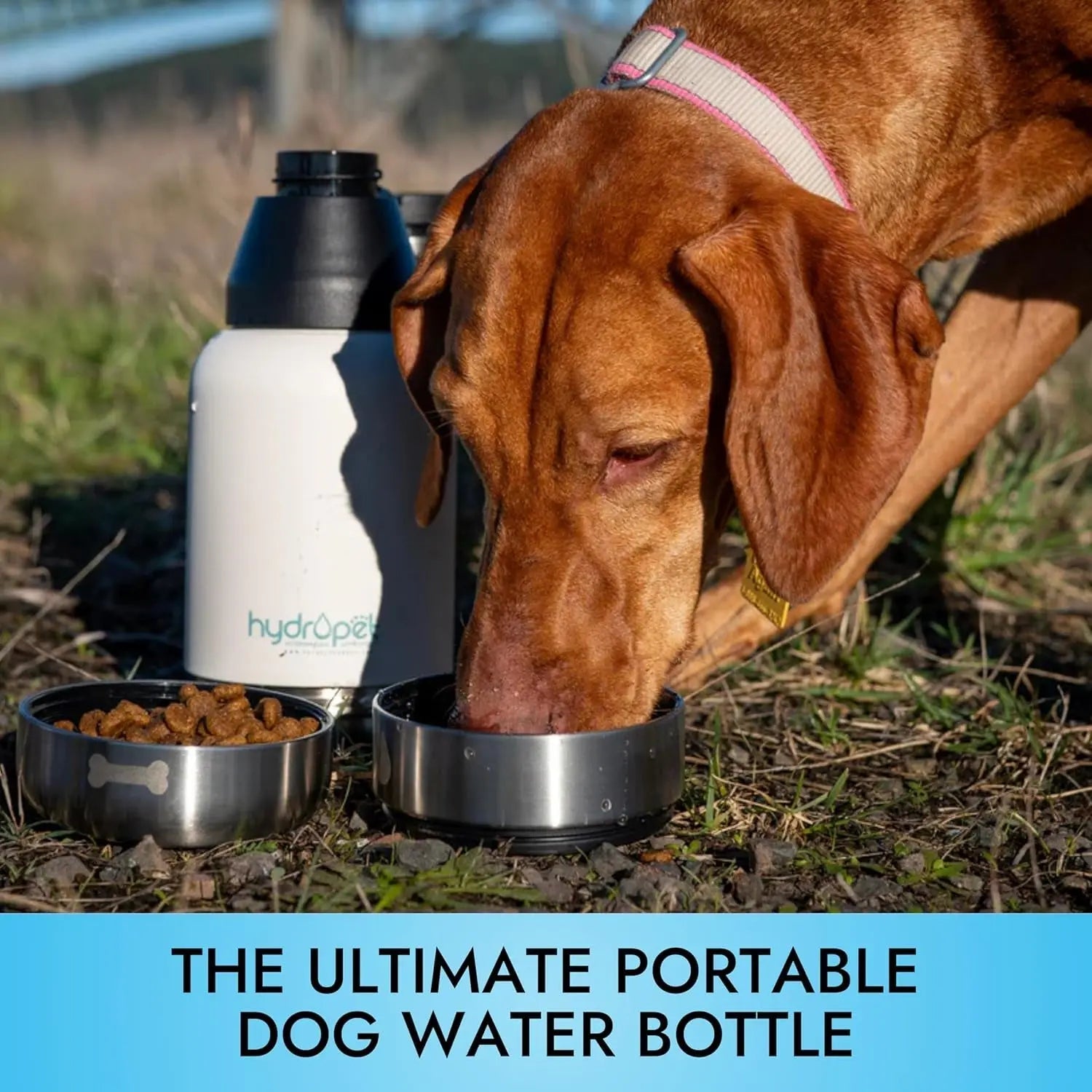 Insulated Dog Travel Water Bottle with Food Bowl