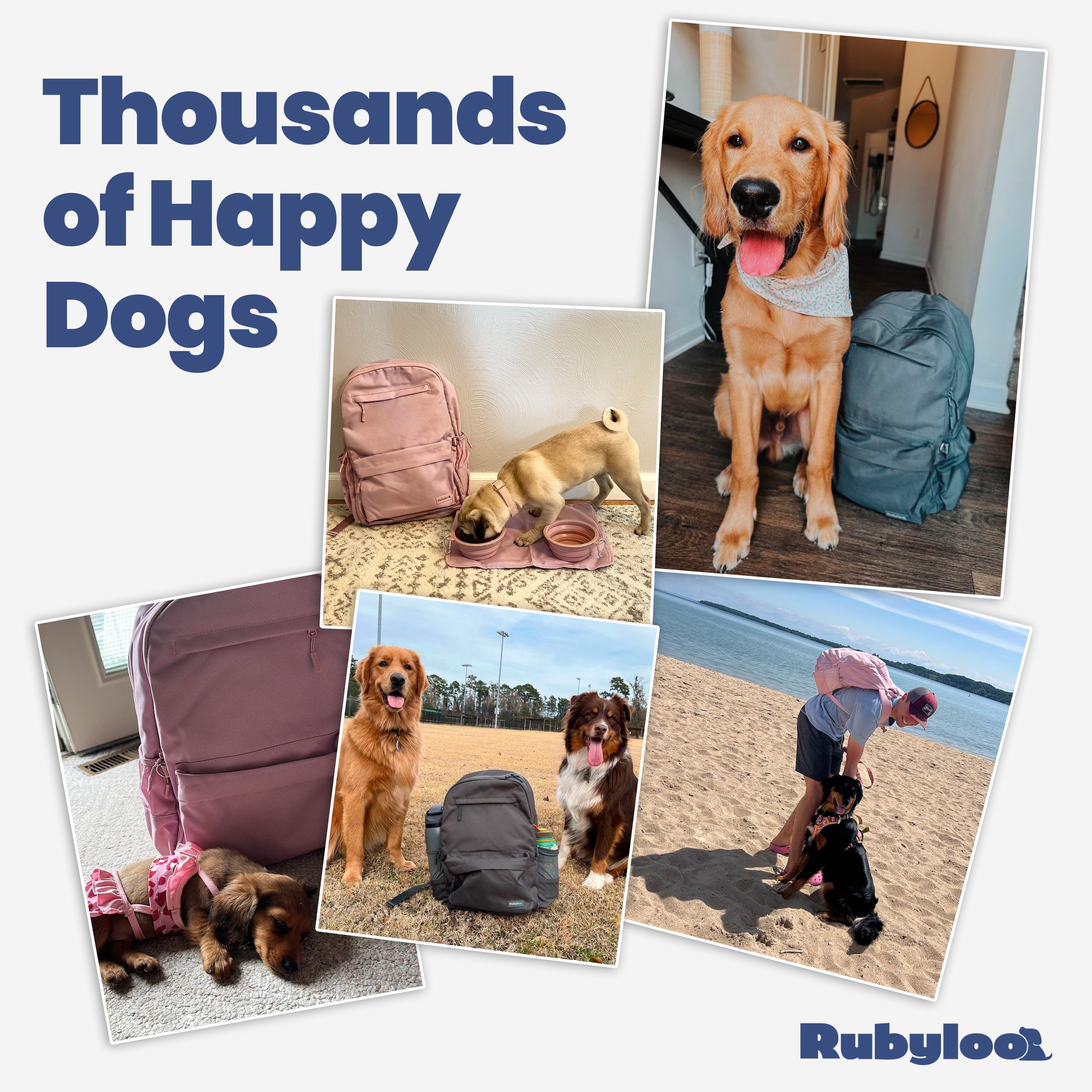 The Original Doggy Bag™ - Dog Travel Backpack