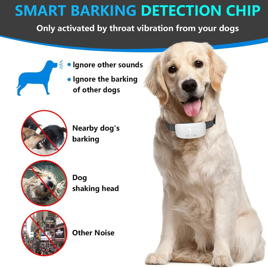 Dog Anti-Bark Training Device