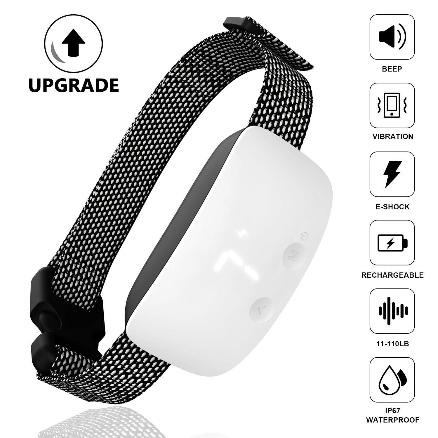 Dog Anti-Bark Training Device