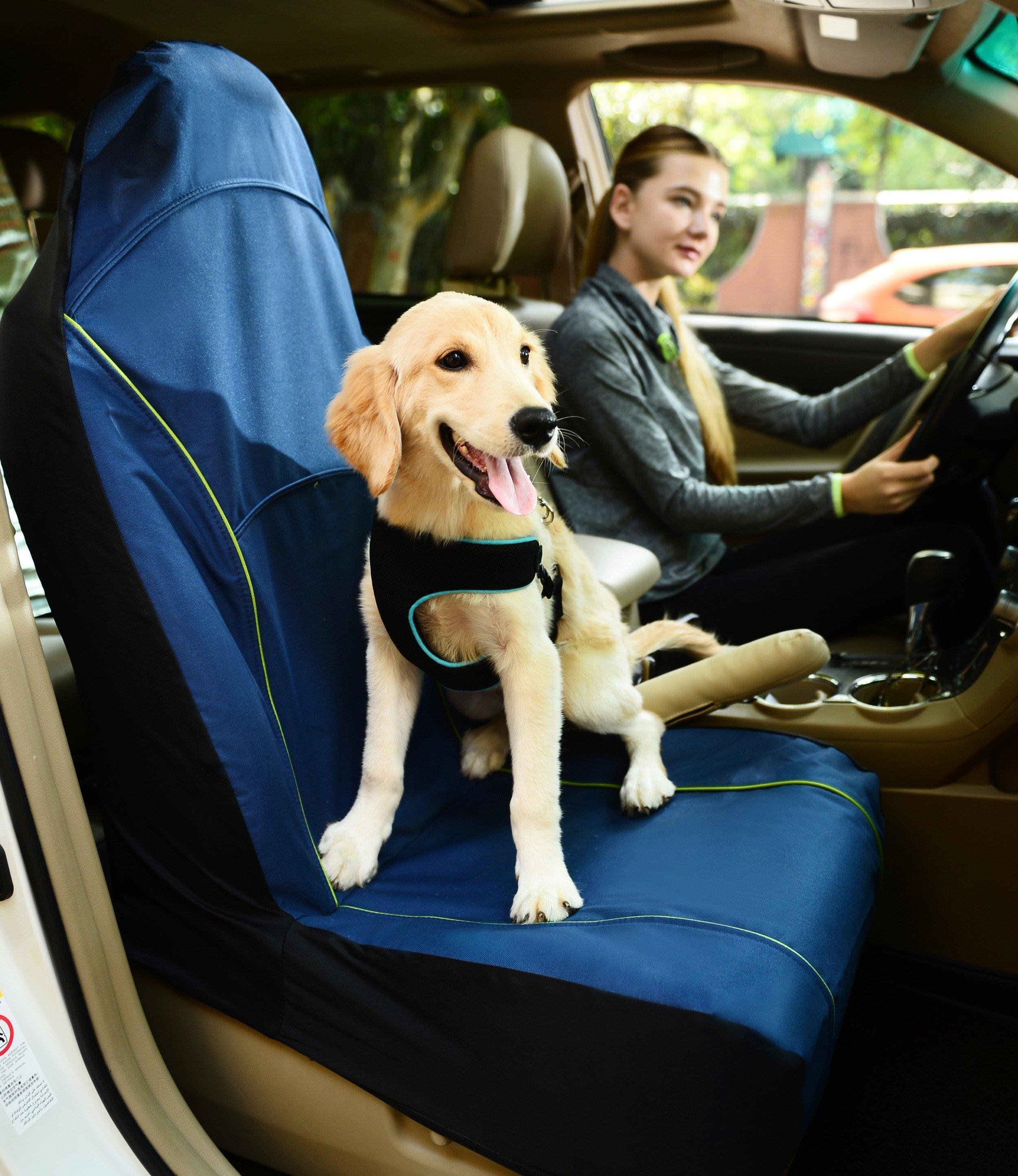 Pet Life 'Open Road' Single Seat Safety Car Seat Cover for Dogs & Cats
