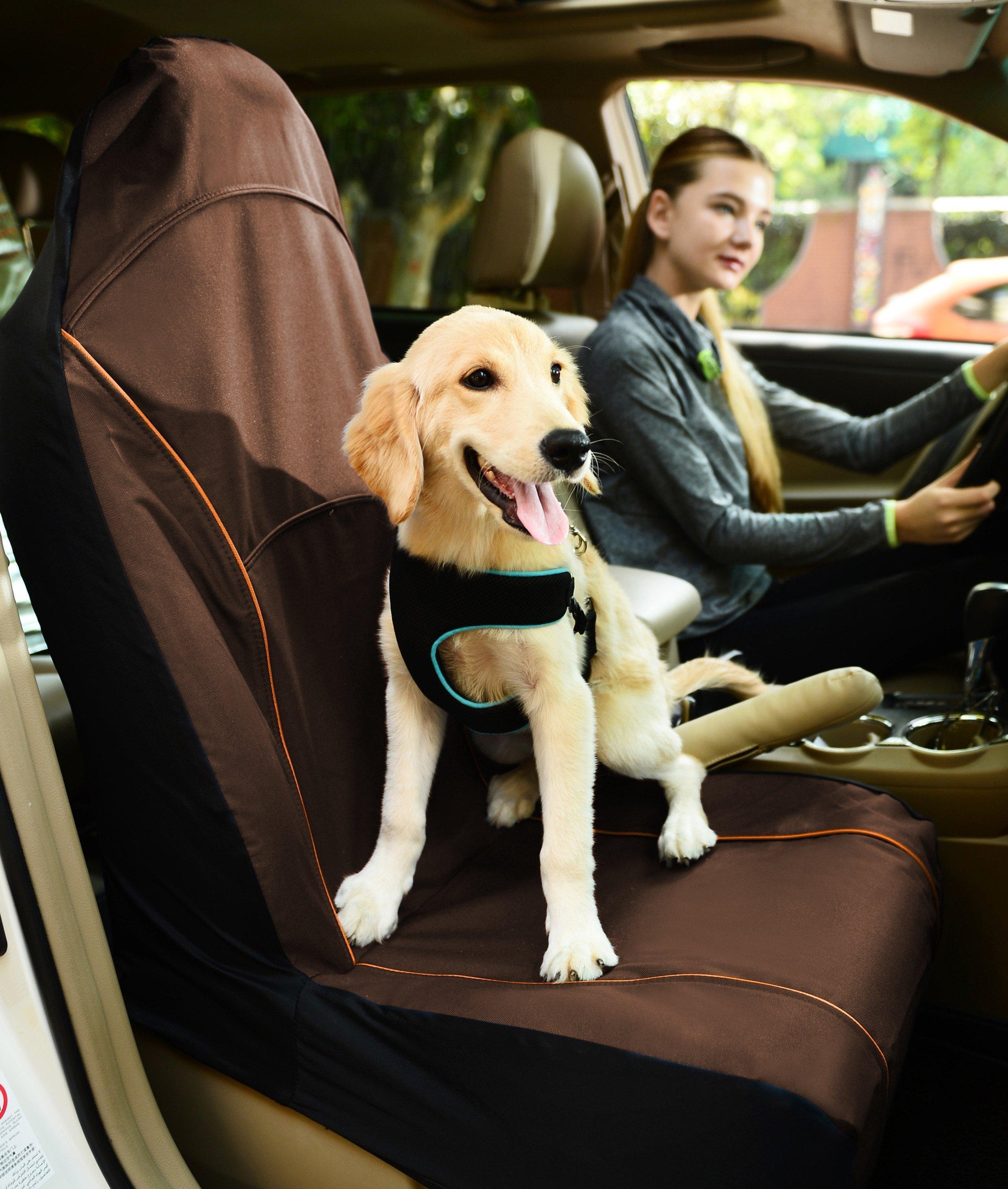 Pet Life 'Open Road' Single Seat Safety Car Seat Cover for Dogs & Cats